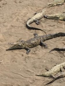 costa rica